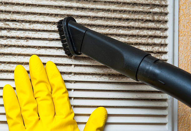 Air Duct Mold Removal in New Castle, DE